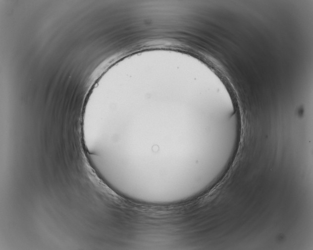 X0000114991330200912071108