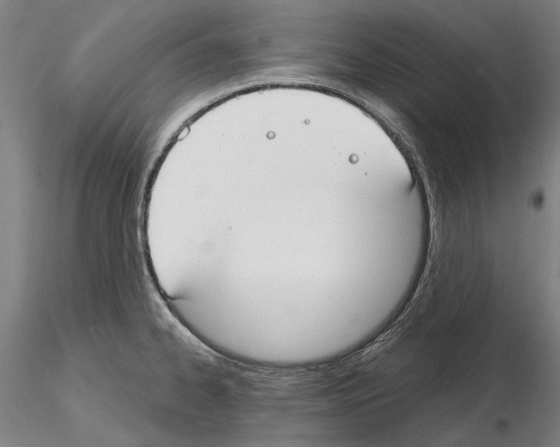 X0000114991334200912071108