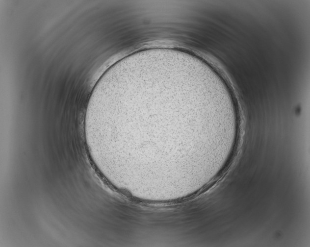 X0000114991337200912071108