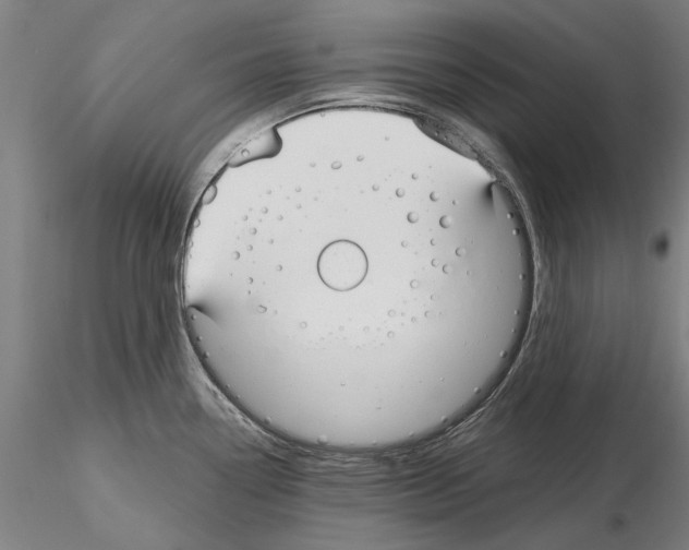 X0000114991338200912071108