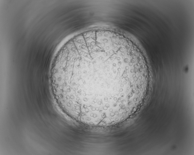 X0000114991339200912071108