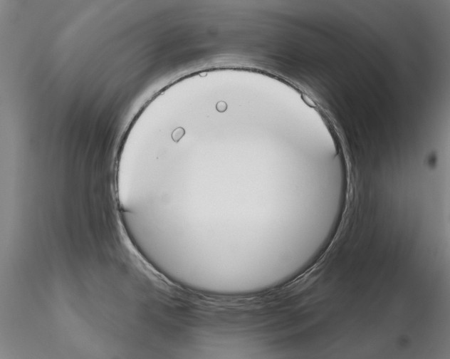 X0000114991342200912071109