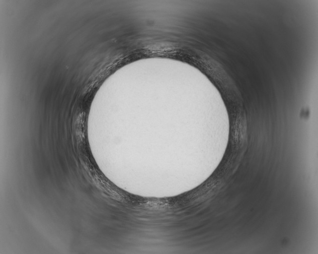 X0000114991346200912071108