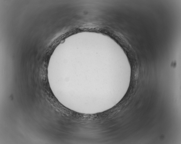 X0000114991350200912071108