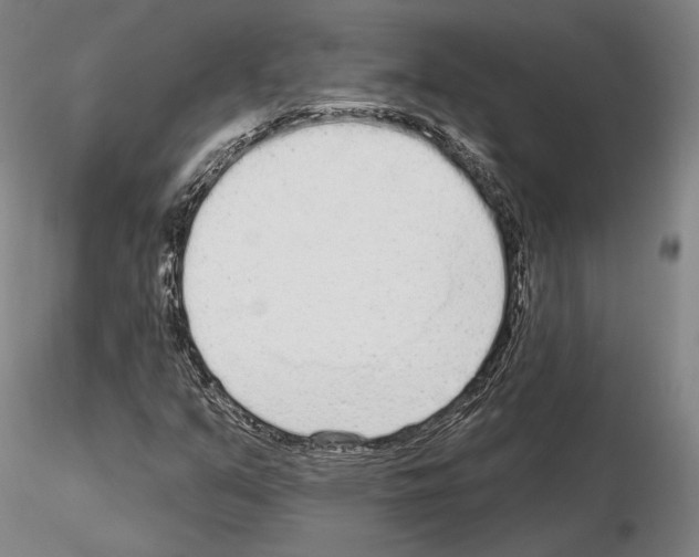 X0000114991351200912071108