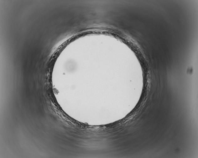 X0000114991352200912071108