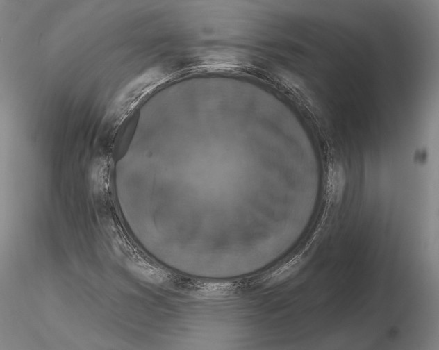 X0000114991353200912071108