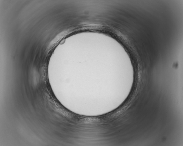 X0000114991354200912071108