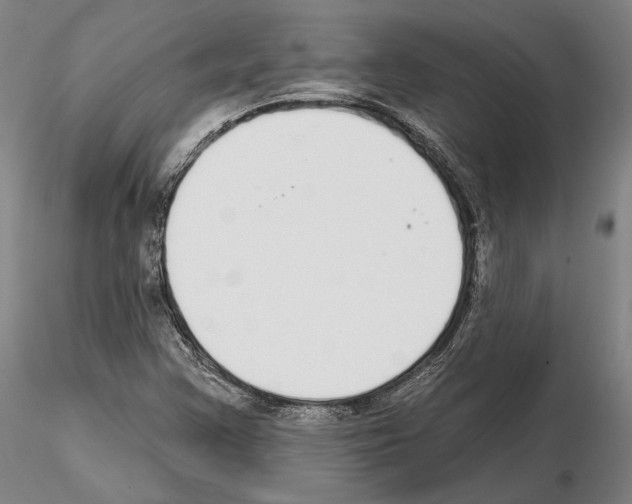 X0000114991355200912071108