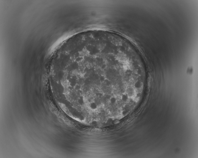 X0000114991359200912071108