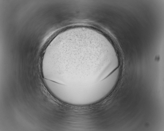 X0000114991360200912071108