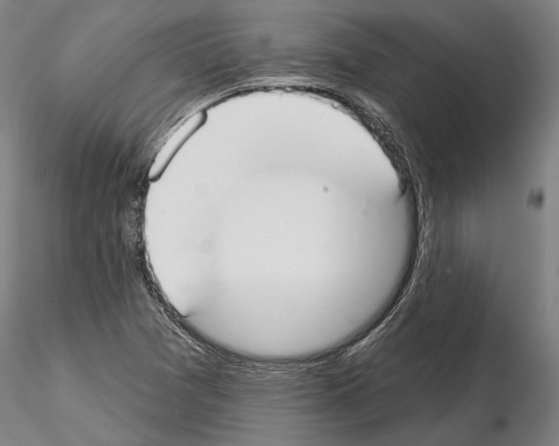 X0000114991361200912071108