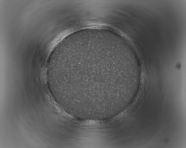 X0000114991362200912071108