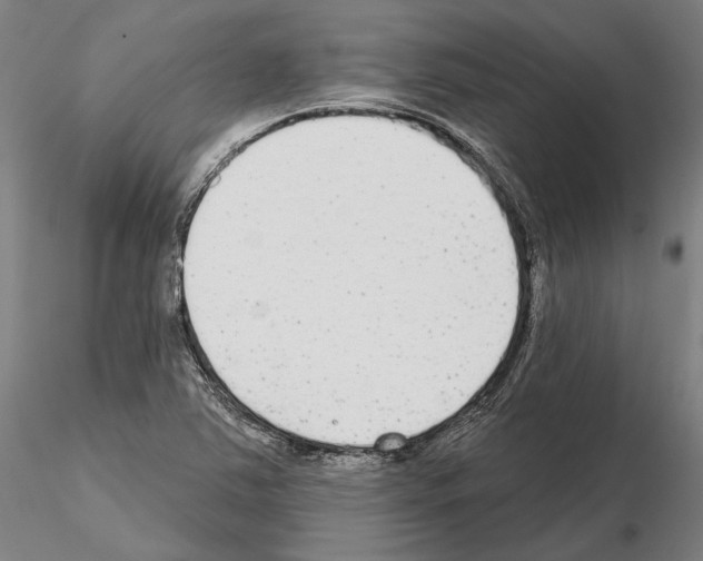 X0000114991363200912071108