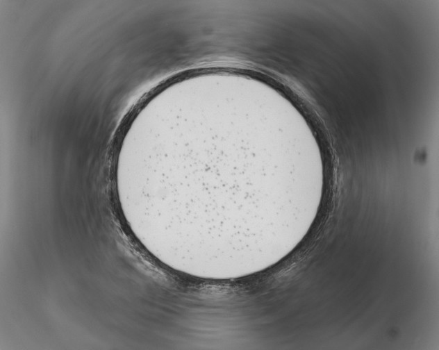 X0000114991364200912071108