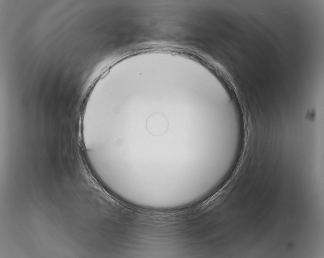 X0000114991365200912071108