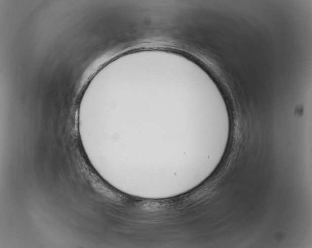 X0000114991366200912071108