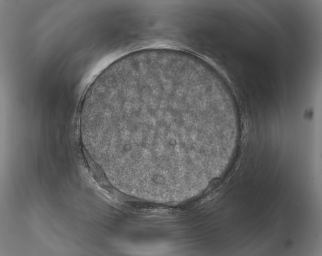 X0000114991367200912071108