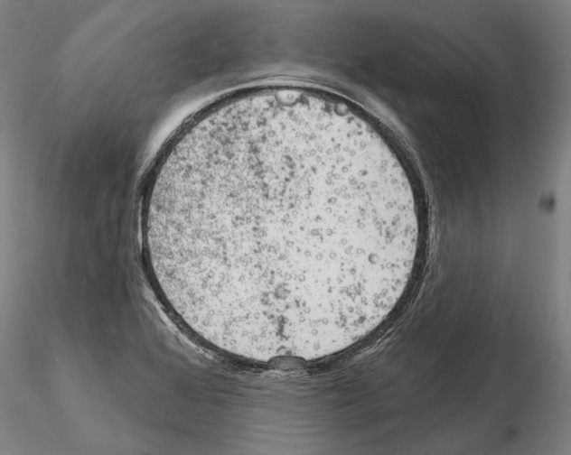 X0000114991368200912071108