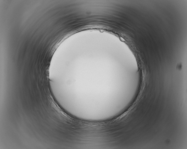 X0000114991369200912071108