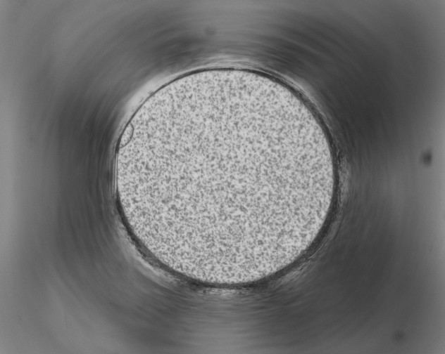 X0000114991371200912071108