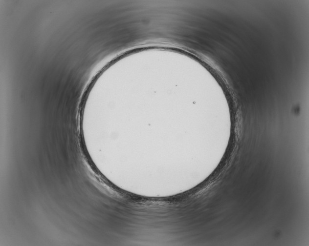 X0000114991372200912071108