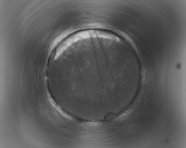 X0000114991373200912071107