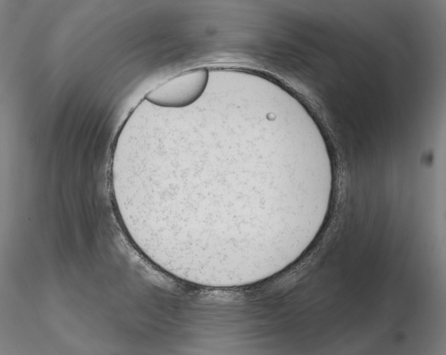 X0000114991374200912071107