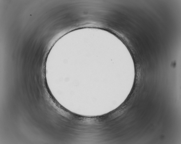 X0000114991375200912071107