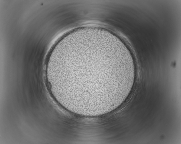 X0000114991376200912071107