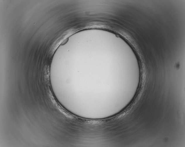 X0000114991377200912071107