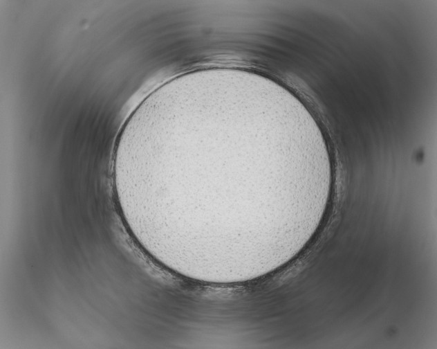 X0000114991378200912071107