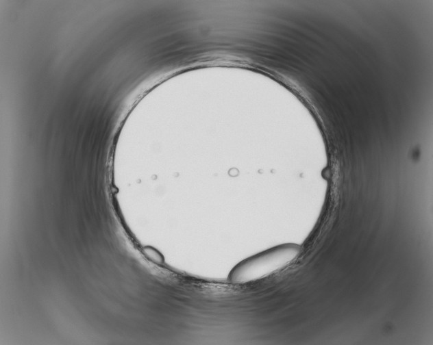 X0000114991379200912071107