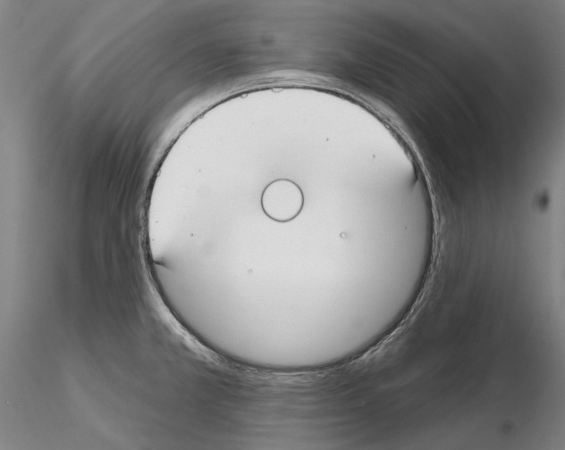 X0000114991381200912071107