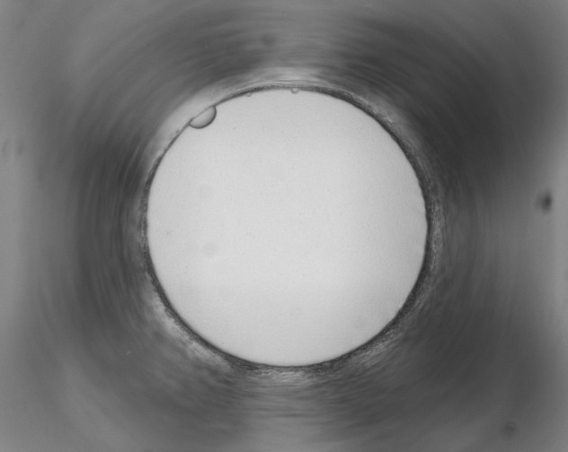 X0000114991382200912071107