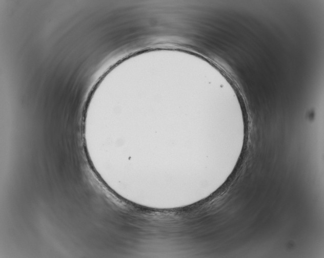 X0000114991384200912071107