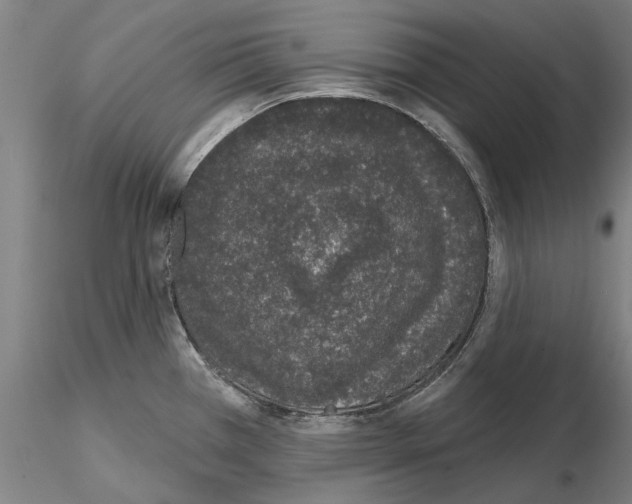 X0000114991385200912071107