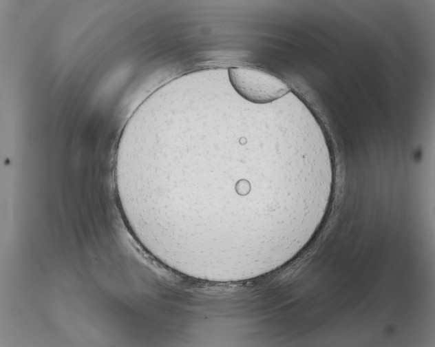 X0000114991386200912071107