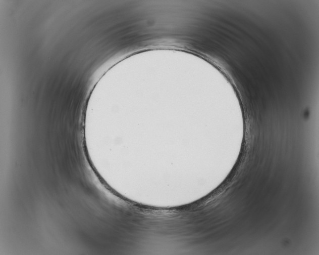 X0000114991387200912071107