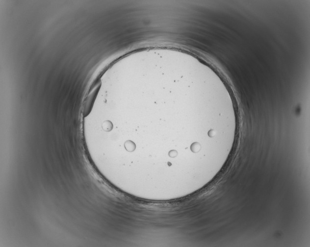 X0000114991388200912071107