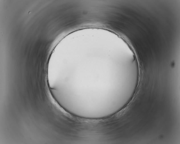 X0000114991389200912071107