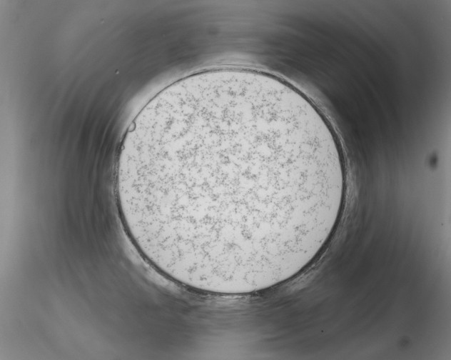 X0000114991390200912071107