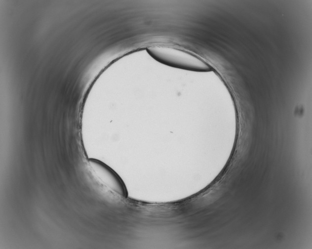 X0000114991392200912071107