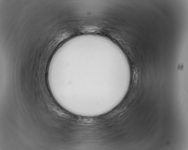 X0000114991393200912071107