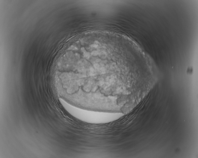 X0000114991394200912071107