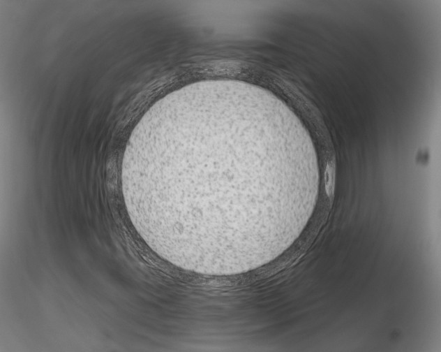 X0000114991395200912071107