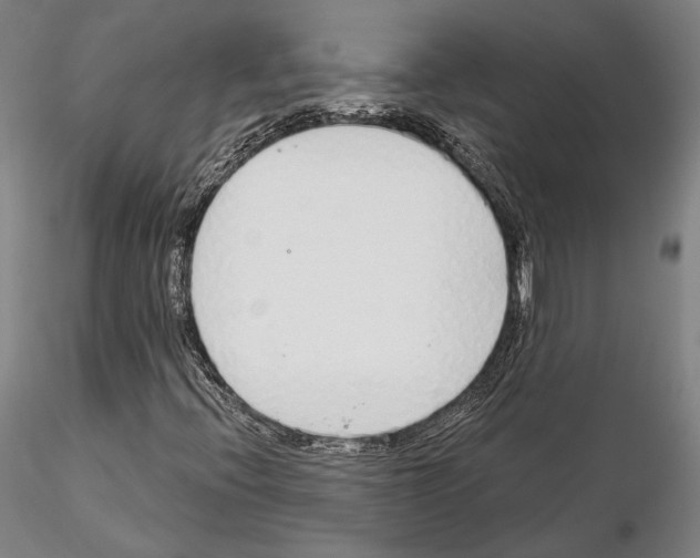 X0000114991396200912071107