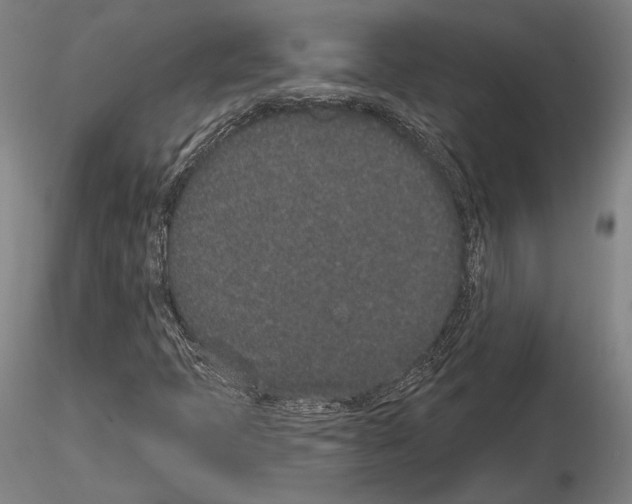 X0000114991397200912071107