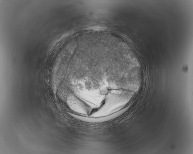 X0000114991398200912071107