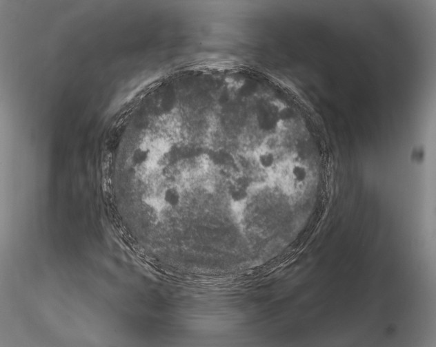 X0000114991399200912071107